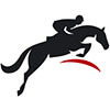 horse racing.icon